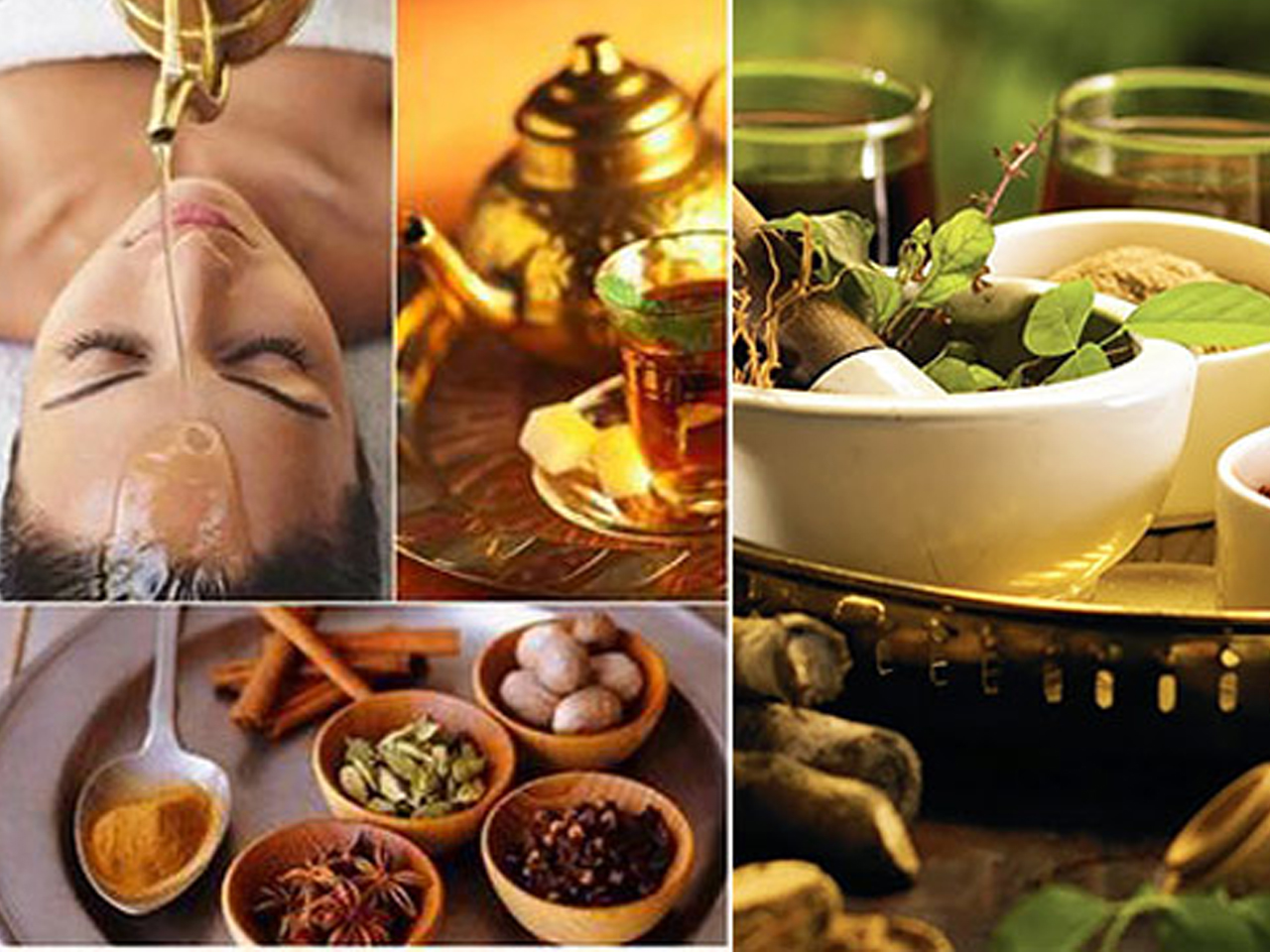 Rajayapana Ayurvedic & Panchkarma Treatment