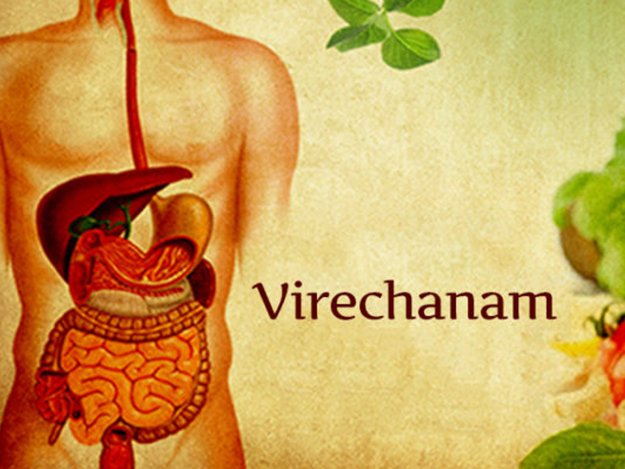 Virechana Ayurved & Panchkarma Treatment